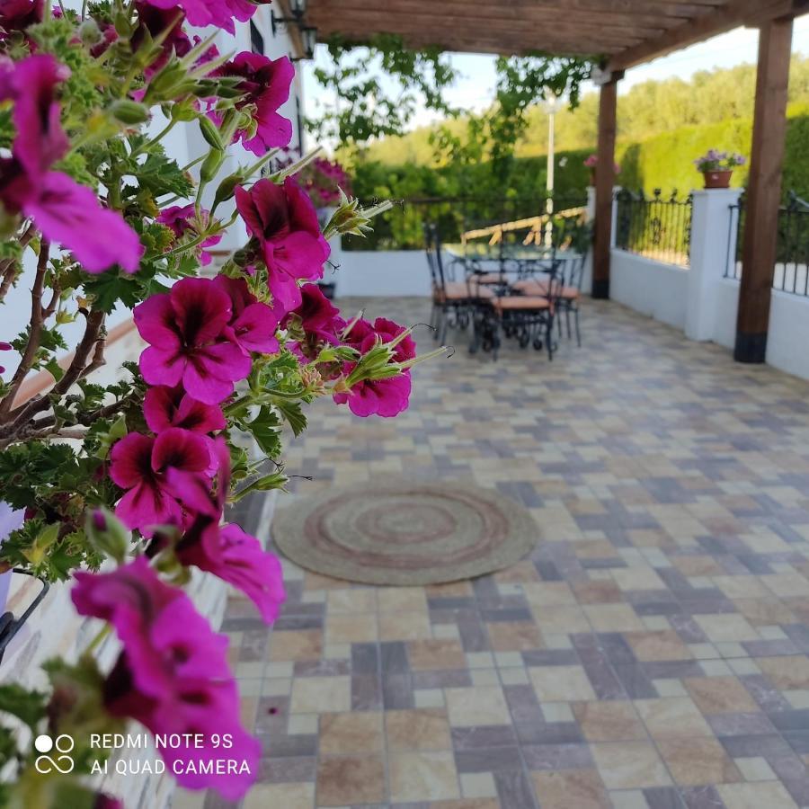 La Casa De La Abuela Vendégház Setenil de las Bodegas Kültér fotó