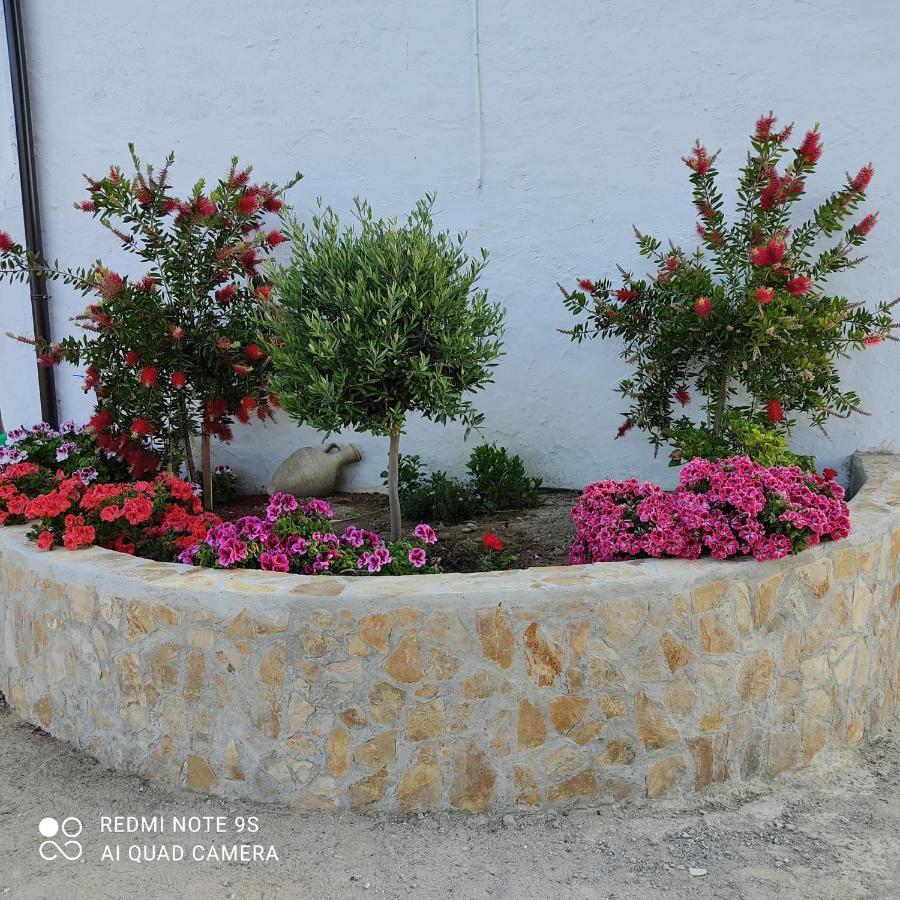 La Casa De La Abuela Vendégház Setenil de las Bodegas Kültér fotó