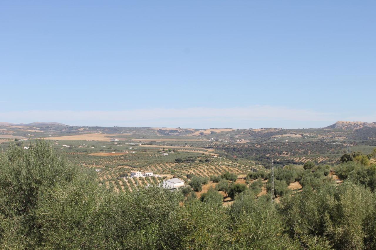 La Casa De La Abuela Vendégház Setenil de las Bodegas Kültér fotó