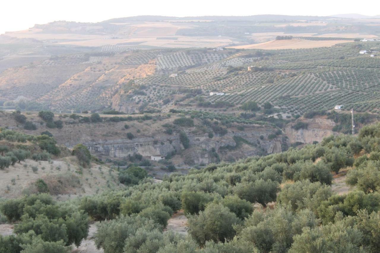 La Casa De La Abuela Vendégház Setenil de las Bodegas Kültér fotó